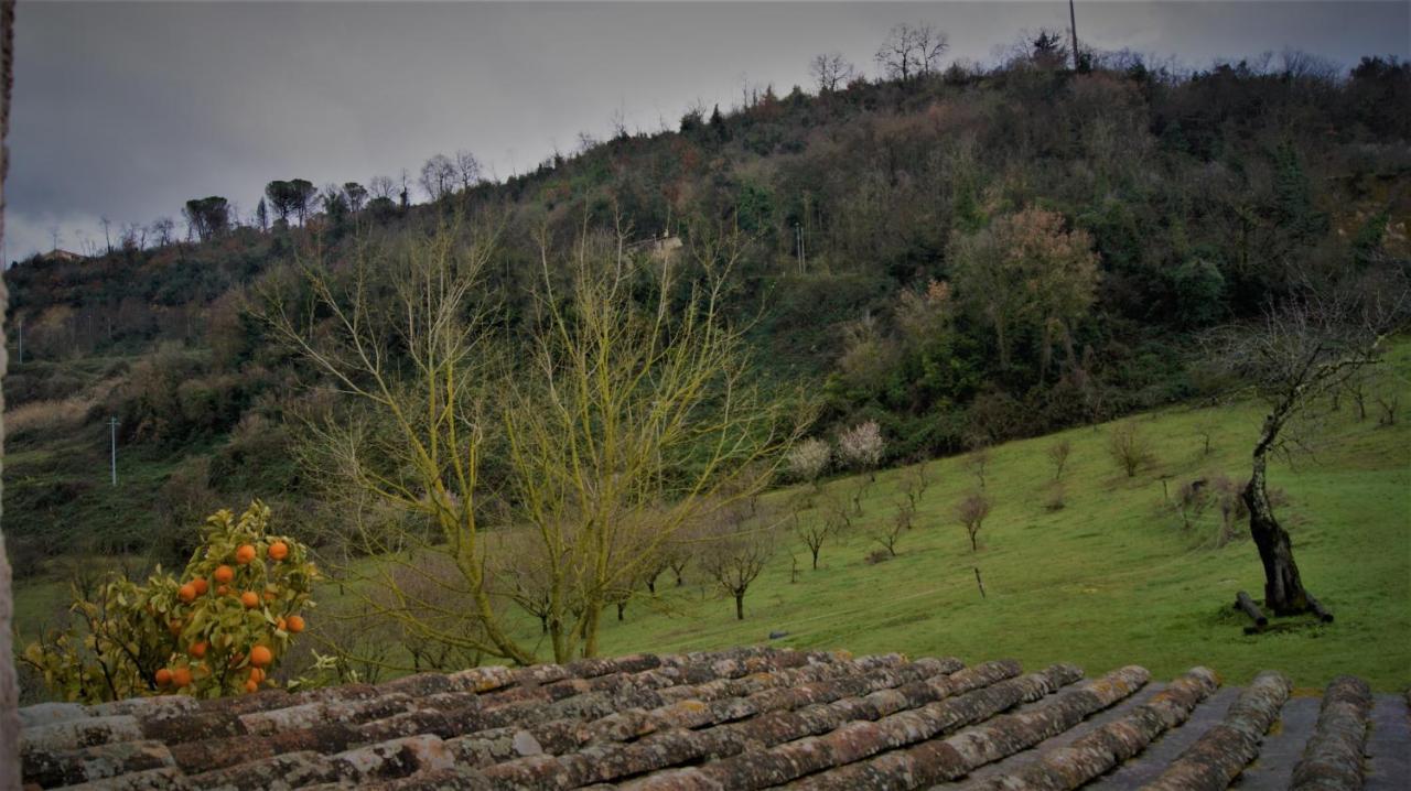 Agriturismo Monterone Ponzano Romano Exteriör bild